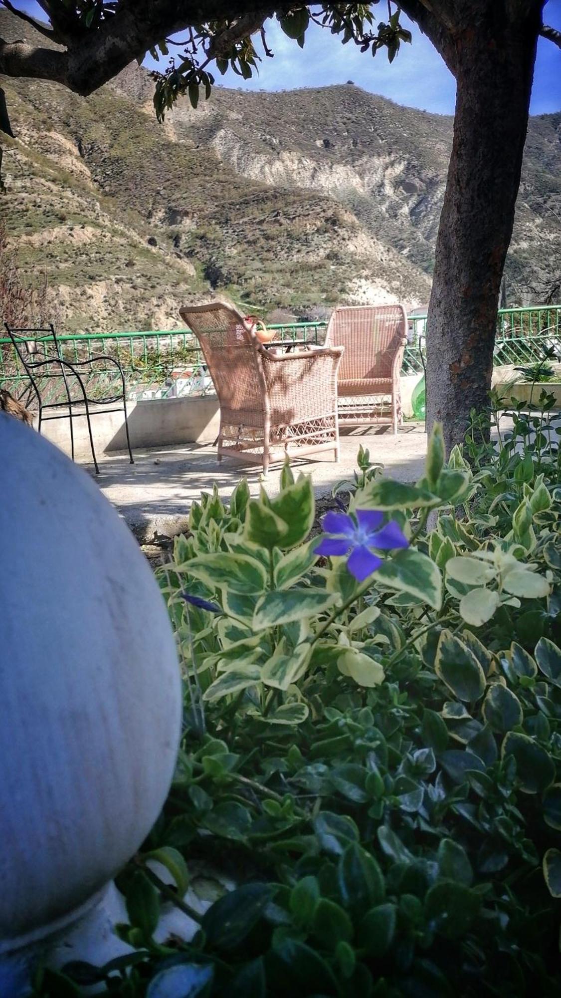 La Casa De La Abuela Διαμέρισμα Pinos Genil Εξωτερικό φωτογραφία