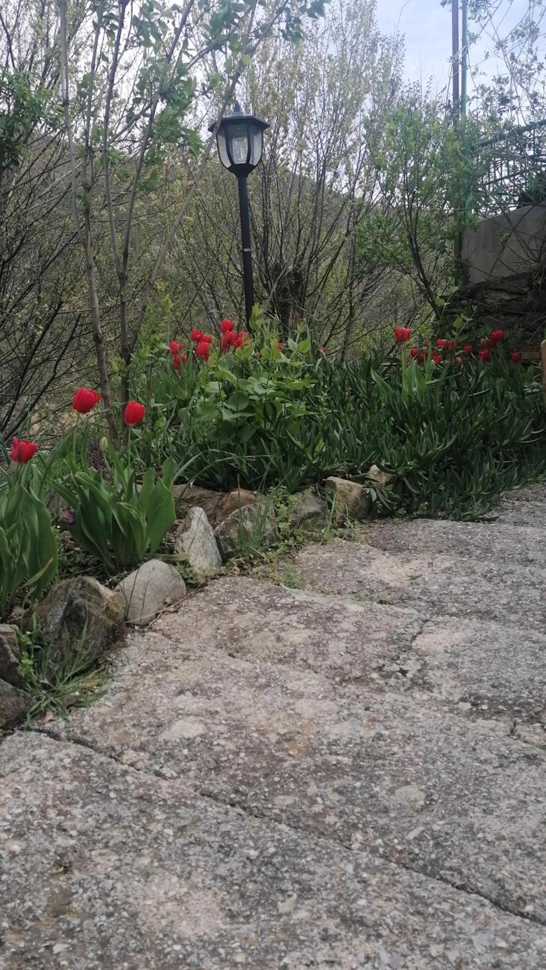 La Casa De La Abuela Διαμέρισμα Pinos Genil Εξωτερικό φωτογραφία