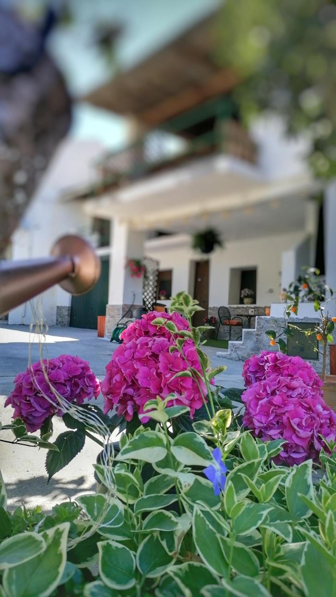 La Casa De La Abuela Διαμέρισμα Pinos Genil Εξωτερικό φωτογραφία