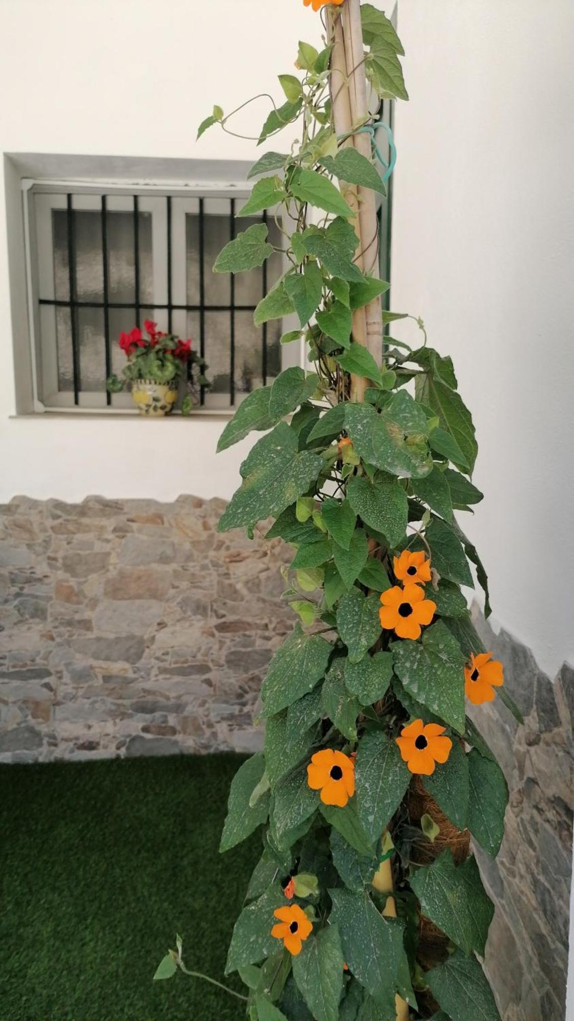 La Casa De La Abuela Διαμέρισμα Pinos Genil Εξωτερικό φωτογραφία
