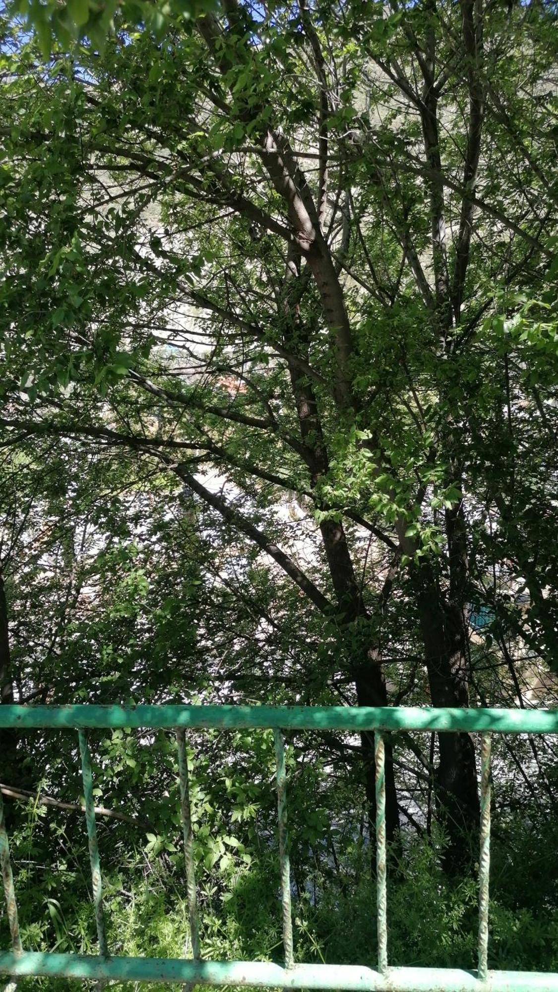 La Casa De La Abuela Διαμέρισμα Pinos Genil Εξωτερικό φωτογραφία