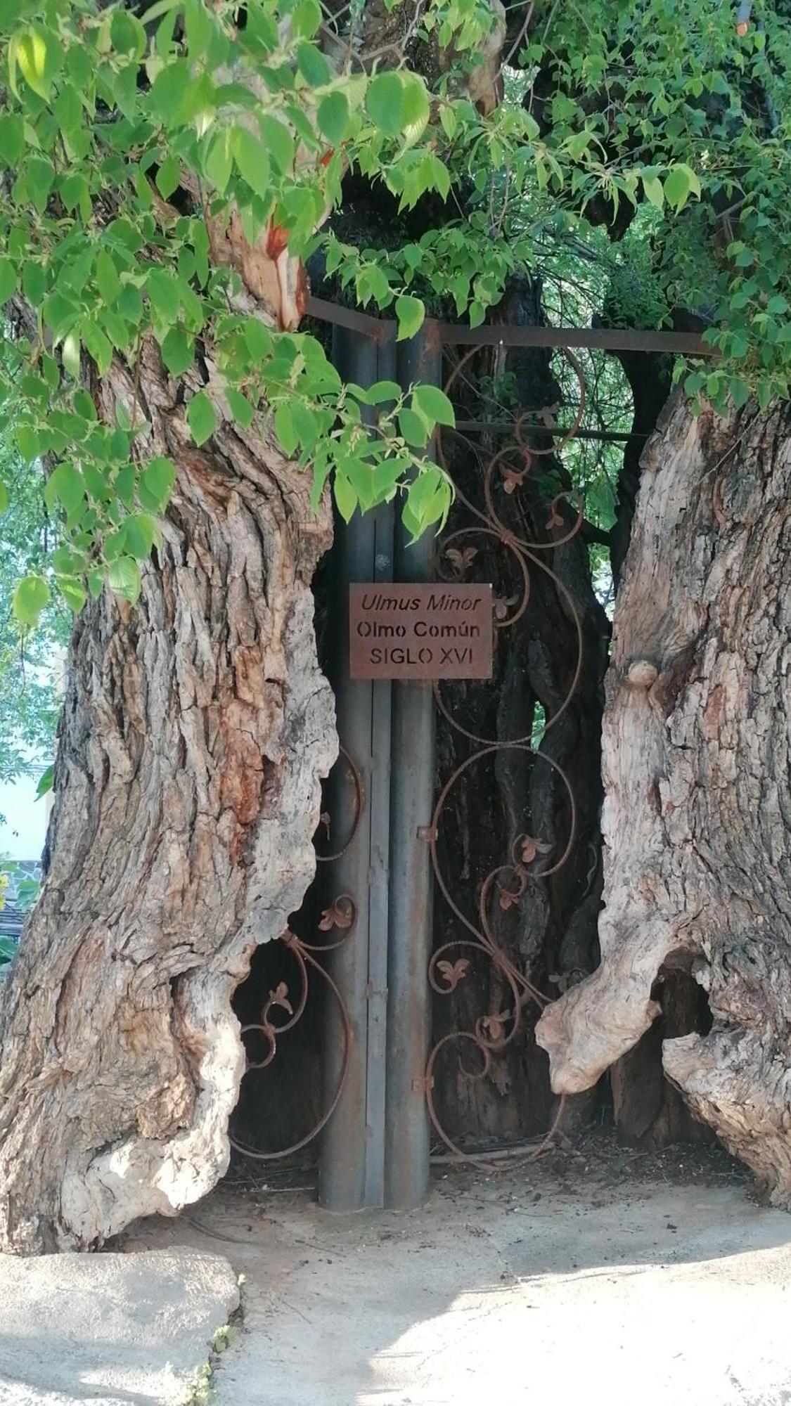 La Casa De La Abuela Διαμέρισμα Pinos Genil Εξωτερικό φωτογραφία