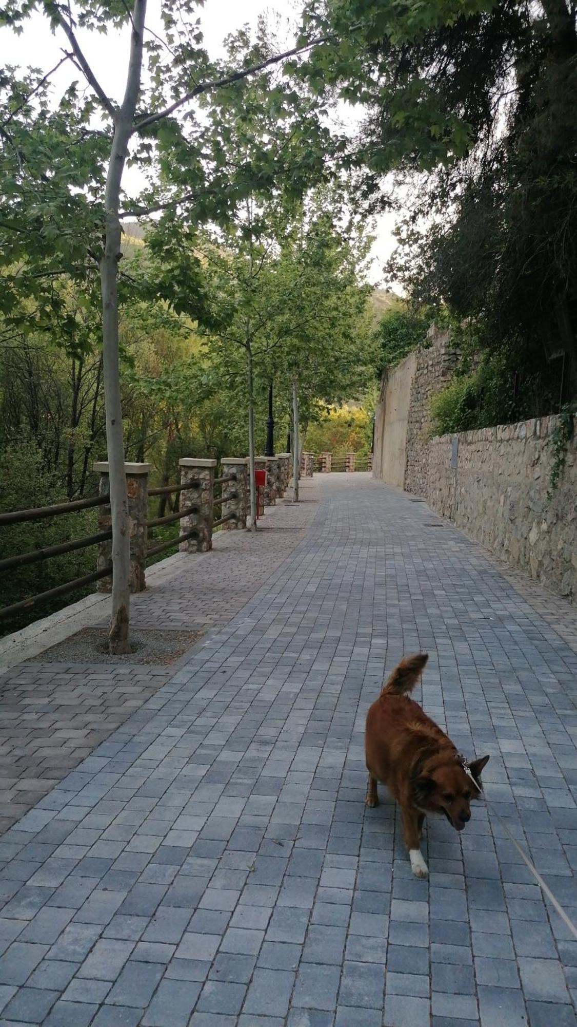 La Casa De La Abuela Διαμέρισμα Pinos Genil Εξωτερικό φωτογραφία
