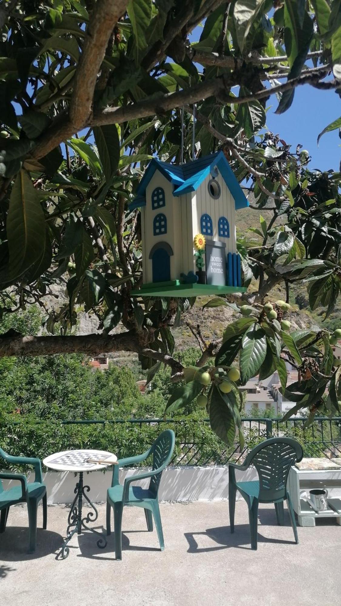 La Casa De La Abuela Διαμέρισμα Pinos Genil Εξωτερικό φωτογραφία