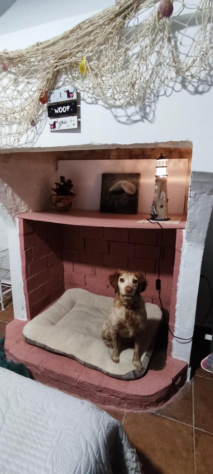 La Casa De La Abuela Διαμέρισμα Pinos Genil Εξωτερικό φωτογραφία